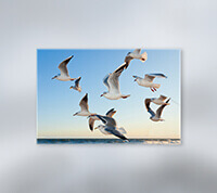 Display your prize photos and artwork professionally on canvas.  Let your style shine.